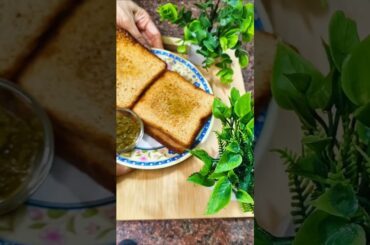 Lazy Sandwich Recipe | Quick Paneer Veg Sandwich | 5-Minute Breakfast Idea