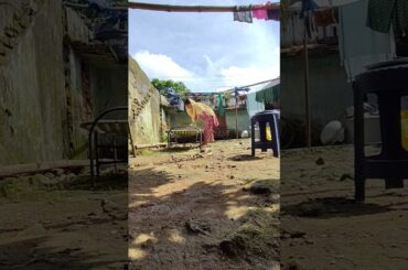 Homemade Atta to Roti | Ghar ki Roti | Traditional Process | #dailyvlog