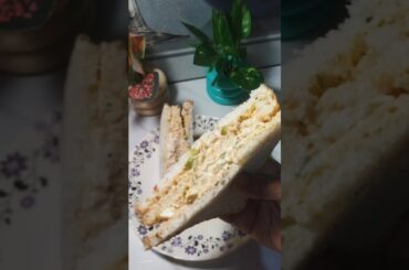 5 Minutes Healthy Breakfast|Cold Veg Sandwich #youtubeshorts #islamicstatus #allah