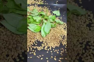 Fast hair growth secret | Best diet to stop hair fall in winter’s | Lifestyle change part-1 #shorts