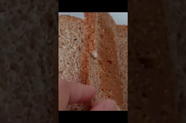 how to make lotus spread bread for #breakfast #easyrecipe #best #satisfying #india #shortsfeed