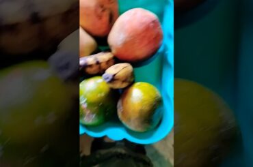 Healthy breakfast recipe  by Acharya Manish jifood #recipe #shortvideo #trending #viralshort #shorts