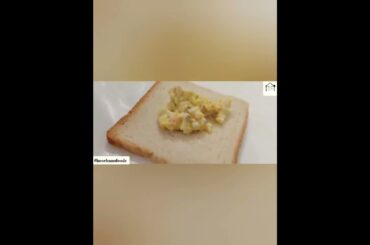 #shorts #petshub #sandwich #recipe