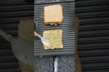 Easy Avocado Sandwich |Healthy Breakfast #Shorts #shortsfeed  #sahiba #Aditya Rikhari #youtubeshorts