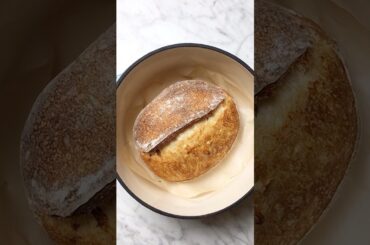 Quick & easy sourdough bread | Ready in 6hrs | 50% sourdough starter