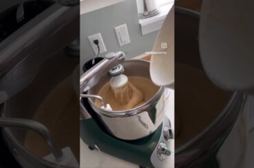 Freshly Milled Flour Bread! #mill #bread #wheat #breadmaking #breadrecipe