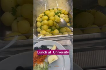What's on the Menu at My University in Finland?