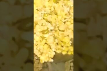 daliya se banai paushtik aahar#viralvideo #shorts