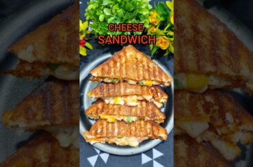 CHEESE  SANDWICH l Veg Cheese Toasties l Sandwich Recipe l Kids Snacks#youtube#recipe#Viral#cooking