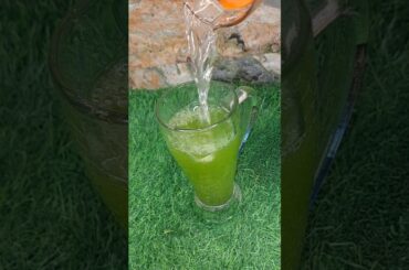 Detox your Liver Quickly this Amazing benefits Pudina Recipe