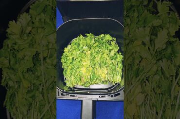 Coriander Powder In Airfryer | Airfryer Coriander #coriander #corianderpowder #shorts #reels #dry