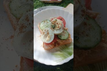 #shorts  Healthy sandwich #youtubeshorts #