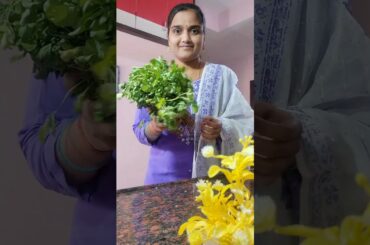 ee Hidden green leaves snacks chesthe plate kali chestharu #methi#leafy#snacks#aakukura#tips#quick