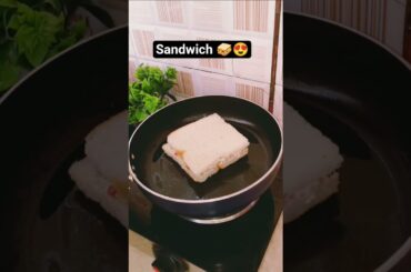 Street style sandwich recipe #sandwich #recipe #food #Pizza style sandwich