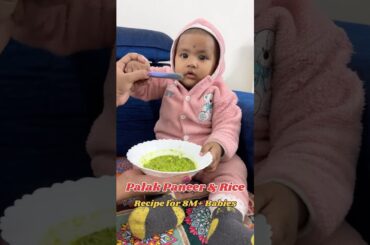 Palak Paneer Rice Recipe for Babies | Healthy Baby Food Recipe | Quick & Nutritious BLW Meal #palak