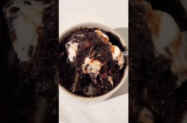 High protein hot cocoa mug cake that actually tastes good #healthy #recipes #chocolate #easyrecipe