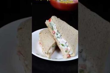 “Veg Mayo Sandwich | 1 Minute Quick Breakfast | Street Style Creamy Sandwich Recipe”