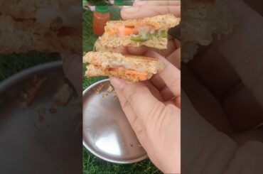 Healthy Sandwich recipe#tinyhouse#miniature#brownbread#trending#food#yummy#cooking#shortvideo#shorts