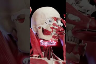 Shed Pounds with Spinach! #shorts