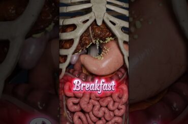 One Minute to Transform Your Eating Habits Forever