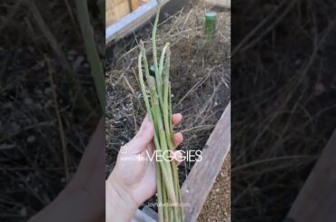 Healthy budget friendly meals on joyfullydwell.com