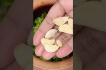 Mixed green leaves recipe #tasty  #healthy #cooking