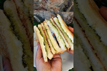 Cheesy Chutney Sandwich Recipe #Shorts #breakfast #healthy
