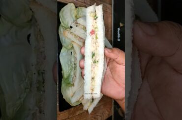 Best Snacks Chicken vegetable sandwiches by Bushra the multi tasker - Sandwich recipe