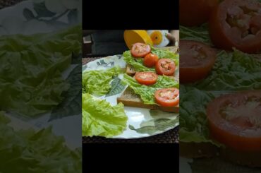 Brown bread with cheese, Tomato n lettuce #healthylifestyle#diet#dietplan #weightlossjourney #happy