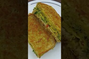 High Protein Breakfast Recipe | Sandwich Recipes | Bread Omelette Recipe | Bread Omelette Sandwich