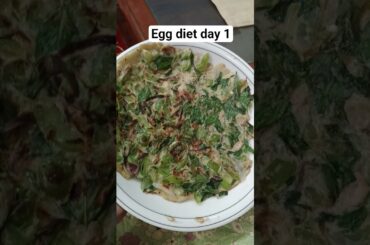 egg diet 7 day challenge day 1 lunch omlate