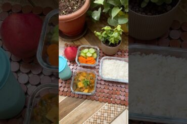 Hubby’s Monday Lunchbox that I packed#viral#trending#beansaloo#curry#shorts#fyp#ashortaday#fyp#yt