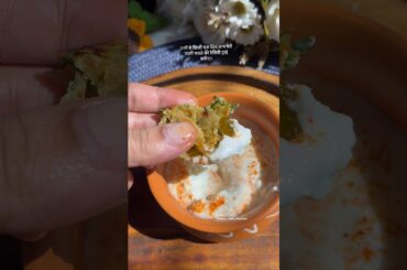 Soft & Healthy Methi Paratha Recipe | Easy Fenugreek Paratha for Breakfast