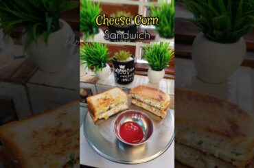Healthy & Delicious SANDWICH RECIPE #cornsandwich #paneercornsandwich #paneersandwich #haulehaule