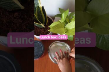 Lunch box series | Simple, healthy breakfast & Lunch| Lunch box ideas| #Millet #shortfeed #ytshorts