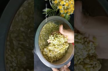 Healthy Breakfast Recipes #healthybreakfast #tiffinrecipe #shorts #viralvideo #cgkitchenwithjharna