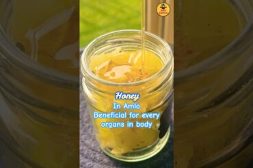 Most potent fermented food combo for immunity boost, digestion, skin, hair and diabetes Kosh Kitchen