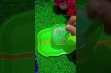 Isabgol & Harad Recipe for Better Digestion #isabgol #healthtips #routines