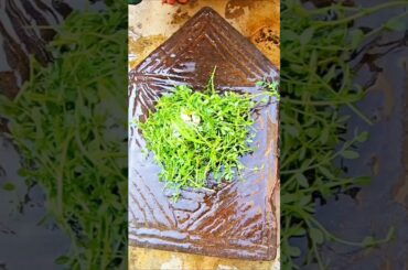 Chana Ke Saag Ki Recipe | Winter Special Healthy Saag | Protein Rich Recipe