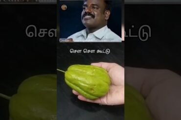 Easy Chow Chow Kootu Recipe | South Indian Chayote Kootu | Healthy Lunch Side Dish #food   #cooking