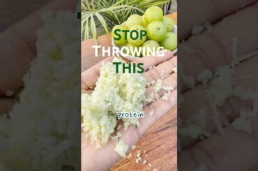 Amla Sattu Protein Sprinkle | India’s Most Underrated Protein Hack