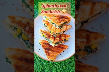 Quick Easy and Healthy #recipe #shorts #sandwich #snacks