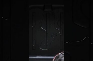 Bacon on Keto! Keto link in bio! #shorts