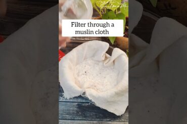 Homemade Coconut Milk #homemade #coconut #milk #recipe