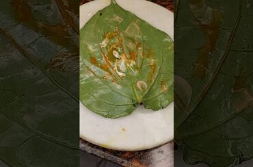 Dr Subhash Goyal REVEALS Paan Benefits for Good Digestion and Calcium! #shorts #easyrecipe #ayurveda