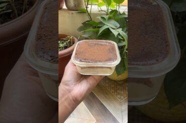 I made healthy Tiramisu for my breakfast #viral#trending#tiramisu#healthy#food#shorts#fyp#yt