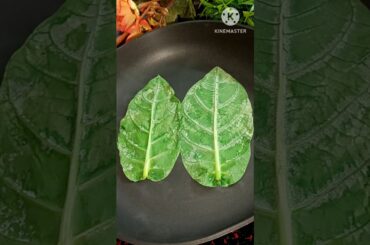 benefits of giant milkweed leaves By Rajiv Dixit ji#ayurved#recipe#health#food#short