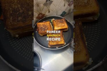 Day 246 | High Protein Paneer Sandwich Recipe With 60gm Protein For Bulking & Muscle Building