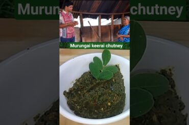 Patti's special healthy recipe|Murungai keerai chutney#cooking #shorts #shortsfeed #trending