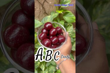 ABC laddu #abcjuice #abc #healthyladdu #snacks #kids #healthysweet #healthyfood #sandyvlogstamil #yt